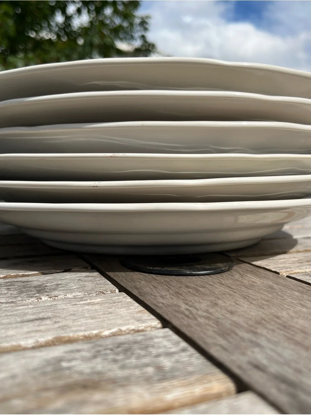 Set of 6 Newcor Geese Dinner Plates